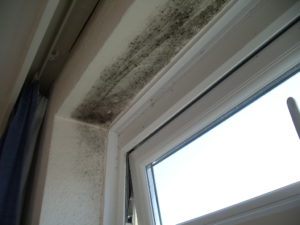 Black Mould in a window reveal in a home indicating a cold thermal bridge