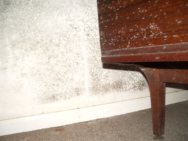 Black mould behind furniture indicates an area of poor ventilation and cold